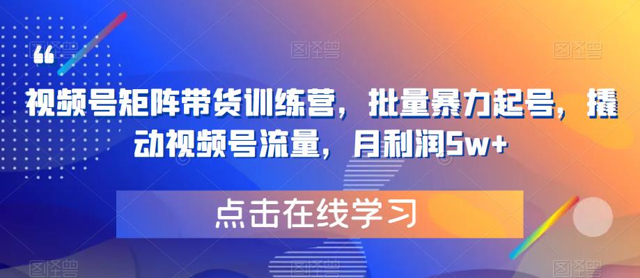 【副业项目6254期】视频号矩阵带货训练营，批量暴力起号，撬动视频号流量，月利润5w+-云起副业网