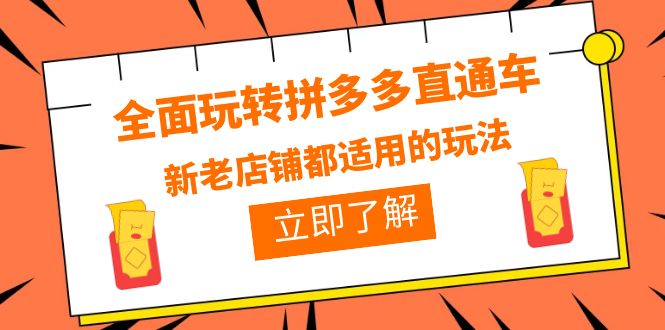 【副业项目6359期】全面玩转拼多多直通车，新老店铺都适用的玩法（12节精华课）-云起副业网