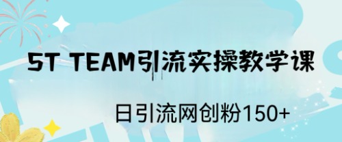 【副业项目6745期】ST TEAM引流实操课，日引流网创粉100+-云起副业网