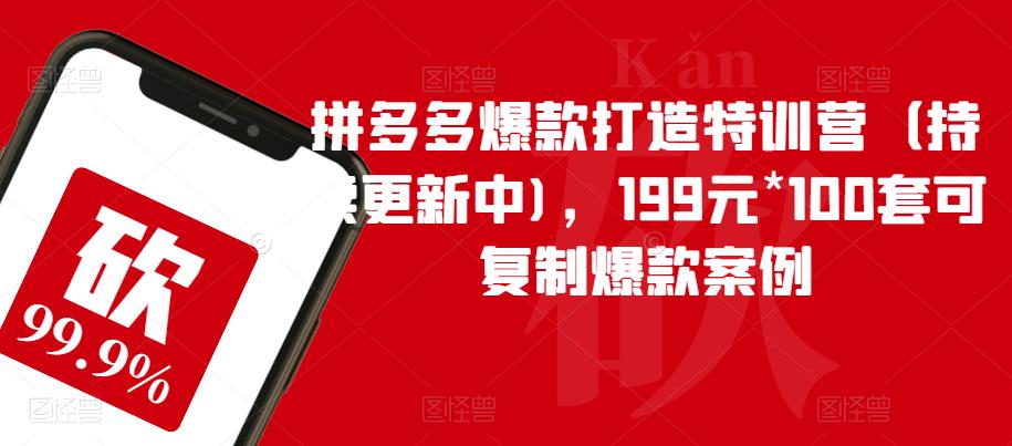 【副业项目6391期】拼多多爆款打造特训营（持续更新中)，199元*100套可复制爆款案例-云起副业网