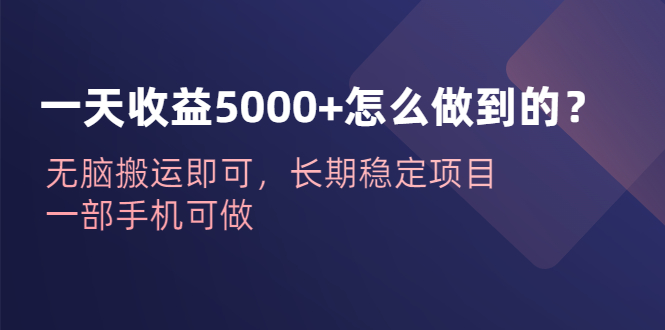 【副业项目6540期】一天收益5000+怎么做到的？无脑搬运即可，长期稳定项目，一部手机可做-云起副业网