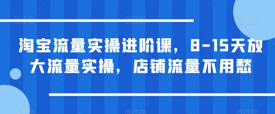 【副业项目6415期】淘宝流量实操进阶课，8-15天放大流量实操，店铺流量不用愁-云起副业网