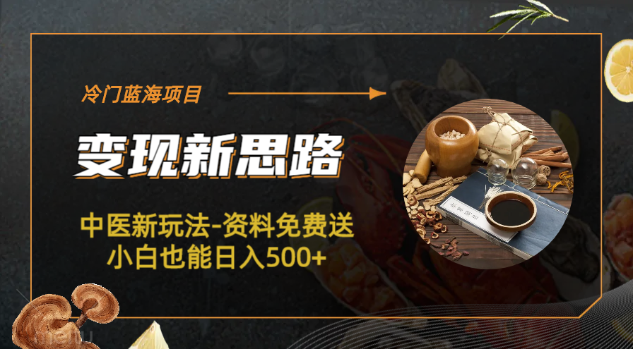 【副业项目6563期】冷门蓝海项目-中医新玩法-资料免费送小白也能日入500+-云起副业网