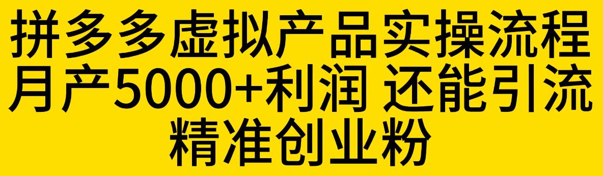 【副业项目6569期】拼多多虚拟产品实操流程，月产5000+利润，还能引流精准创业粉-云起副业网