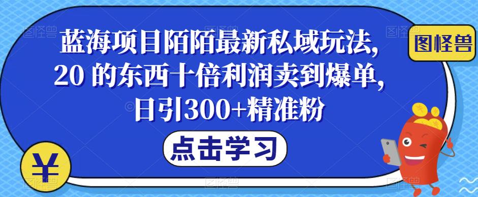 【副业项目6699期】蓝海项目陌陌最新私域玩法，20 的东西十倍利润卖到爆单，日引300+精准粉【揭秘】-云起副业网