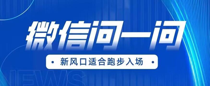 【副业项目6729期】全网首发微信问一问新风口变现项目（价值1999元）【揭秘】-云起副业网