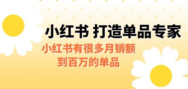 【副业项目6703期】某公众号付费文章《小红书打造单品专家》小红书有很多月销额到百万的单品-云起副业网