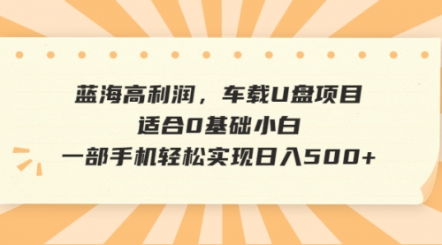 【副业项目6781期】蓝海高利润，车载U盘项目，适合0基础小白，一部手机轻松实现一天500+-云起副业网