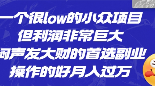 【副业项目6782期】一个很low的小众项目，但利润非常巨大，闷声发大财的首选副业，月入过万-云起副业网