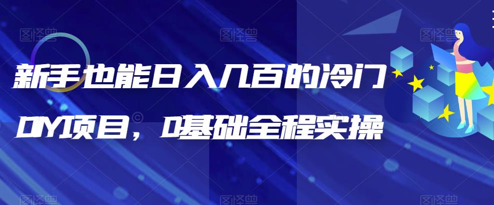 【副业项目6865期】新手也能日入几百的冷门DIY项目，0基础全程实操【揭秘】-云起副业网