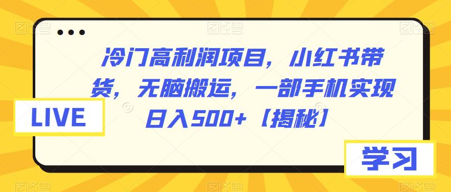 【副业项目6875期】冷门高利润项目，小红书带货，无脑搬运，一部手机实现日入500+【揭秘】-云起副业网