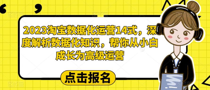 【副业项目6599期】2023淘宝数据化-运营 14式，深度解析数据化知识，帮你从小白成长为高级运营-云起副业网