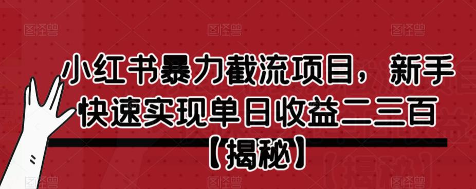 【副业项目6889期】小红书暴力截流项目，新手快速实现单日收益二三百【仅揭秘】-云起副业网