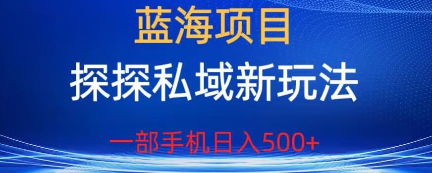 【副业项目6894期】蓝海项目，探探私域新玩法，一部手机日入500+很轻松【揭秘】-云起副业网