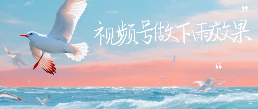 【副业项目6913期】视频号做下雨视频一个账号一周涨粉10W+年入100w-云起副业网