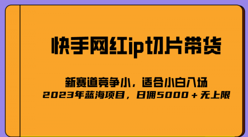 【副业项目7037期】2023爆火的快手网红IP切片，号称日佣5000＋的蓝海项目，二驴的独家授权-云起副业网