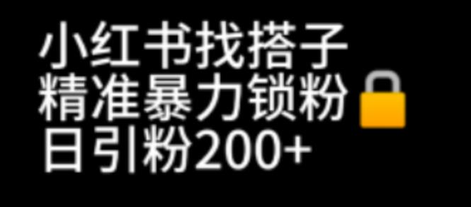 【副业项目7040期】小红书找搭子暴力精准锁粉+引流日引200+精准粉-云起副业网