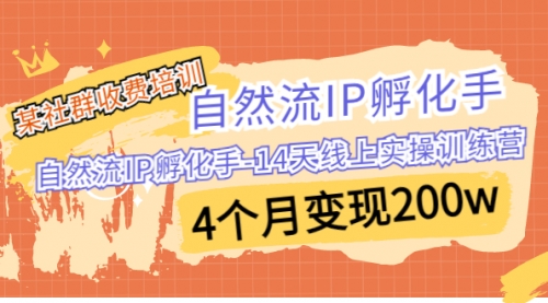 【副业项目7109期】自然流IP孵化手-14天线上实操训练营 4个月变现200w-云起副业网