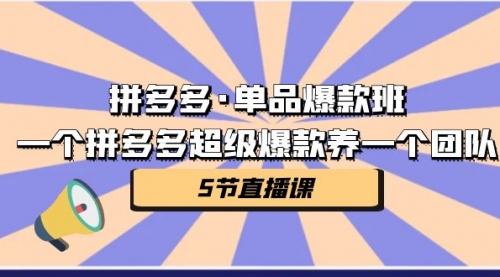 【副业项目第7171期】拼多多·单品爆款班，一个拼多多超级爆款养一个团队-云起副业网
