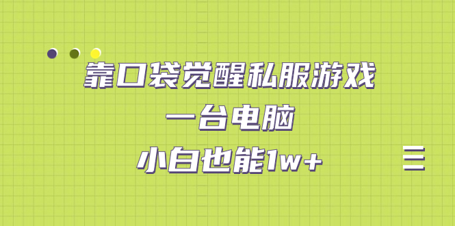 【副业项目7248期】靠口袋觉醒私服游戏，一台电脑，小白也能1w+（教程+工具+资料）-云起副业网