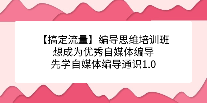 【副业项目7456期】编导思维培训班，想成为优秀自媒体编导先学自媒体编导通识1.0-云起副业网
