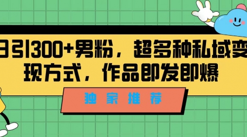 【副业项目7191期】独家推荐！日引300+男粉，超多种私域变现方式-云起副业网