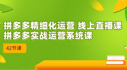 【副业项目7292期】2023年新课-拼多多精细化运营-云起副业网
