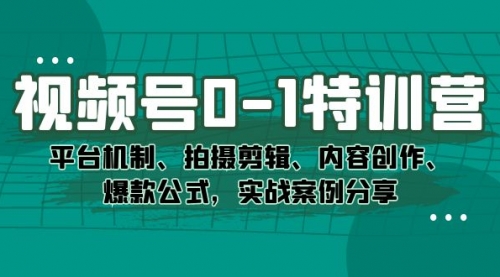 【副业项目7596期】视频号0-1特训营：平台机制、拍摄剪辑、内容创作、爆款公式，实战案例分享-云起副业网