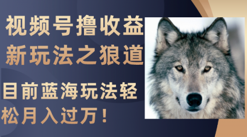 【副业项目8271期】视频号撸收益新玩法之狼道，目前蓝海玩法轻松月入过万！-云起副业网