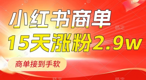 【副业项目8480期】小红书商单最新玩法，新号15天2.9w粉，接单到手软-云起副业网