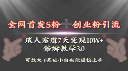 【副业项目8506期】成人用品赛道7天变现10w+保姆教学3.0-云起副业网
