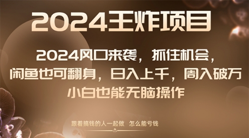 【副业项目8548期】2024闲鱼翻身项目，小白也可做-云起副业网