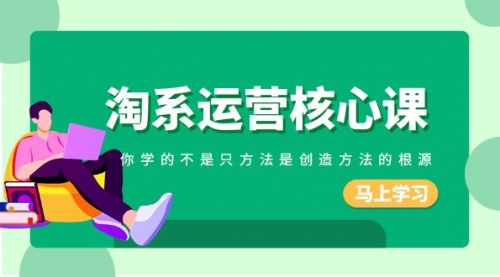 【副业项目8556期】淘系-运营核心课，你学的不是只方法是创造方法的根源-云起副业网