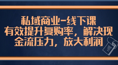 【副业项目8578期】私域商业-线下课，有效提升复购率，解决现金流压力，放大利润-云起副业网