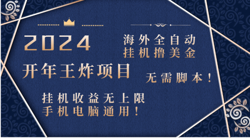 【副业项目8620期】2024海外撸美金项目！手机电脑均可-云起副业网