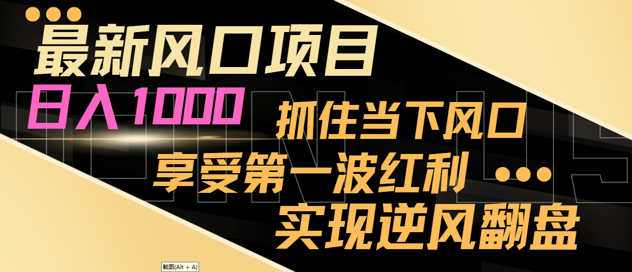 【副业8650期】最新风口项目，日入过千，抓住当下风口，享受第一波红利，实现逆风翻盘-云起副业网