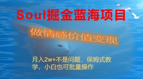 【副业8669期】Soul掘金蓝海项目细分赛道，做情感价值变现，月入2w+不是问题-云起副业网