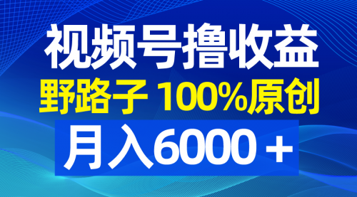 【副业8771期】视频号野路子撸收益，100%原创，条条爆款，月入6000＋-云起副业网