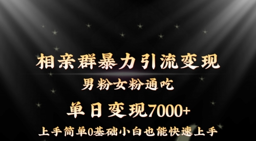 【副业8845期】相亲群暴力引流男粉女粉通吃变现玩法，单日变现7000+保姆教学1.0-云起副业网