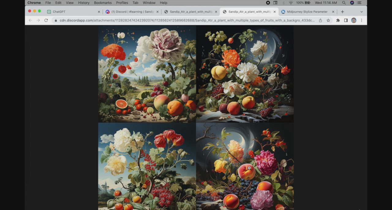 【副业8871期】ChatGPT4 和 MidJourney AI 绘画聊天革命性指南教程-33节视频课-中英字幕-云起副业网