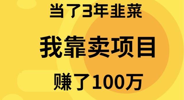当了3年韭菜，我靠卖项目赚了100万-云起副业网