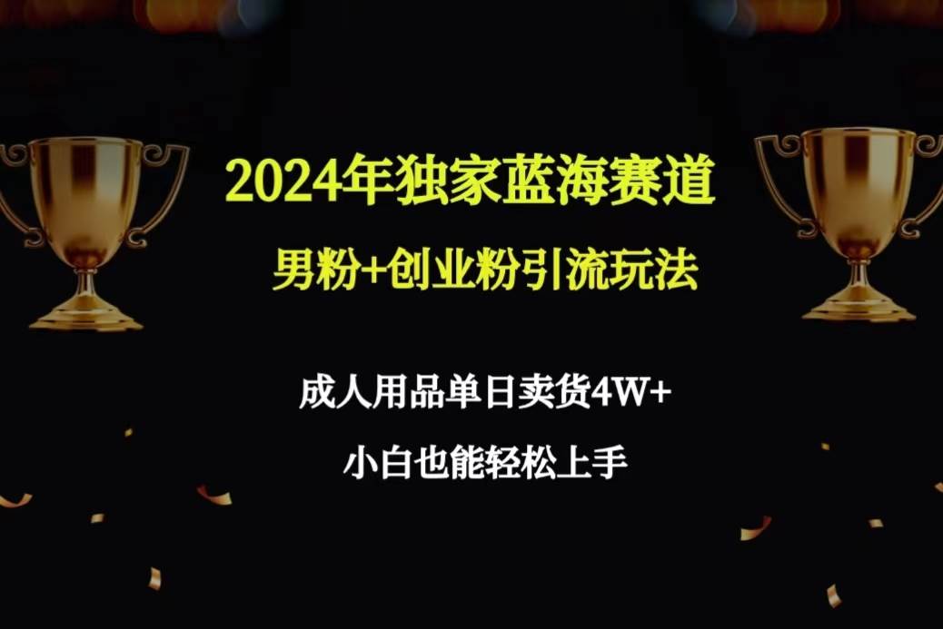 2024年独家蓝海赛道男粉+创业粉引流玩法,成人用品单日卖货4W+保姆教程-云起副业网