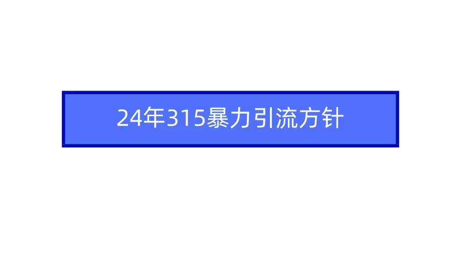 2024年315暴力引流方针-云起副业网
