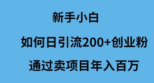 新手小白如何日引流200+创业粉通过卖项目年入百万-云起副业网