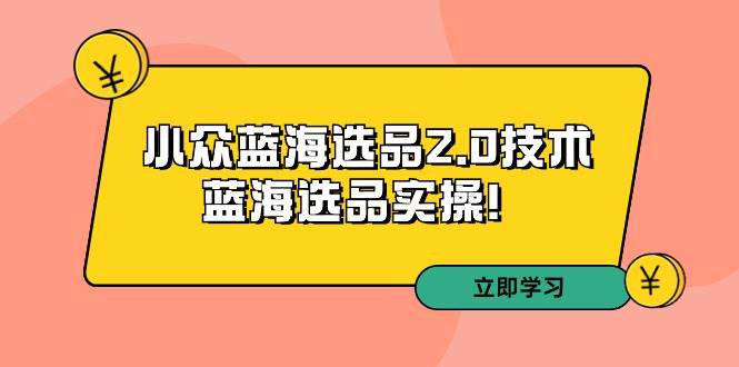拼多多培训第33期：小众蓝海选品2.0技术-蓝海选品实操！-云起副业网