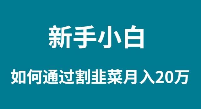 新手小白如何通过割韭菜月入 20W-云起副业网