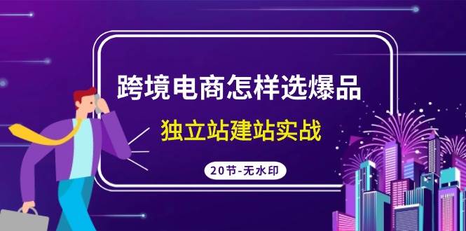 跨境电商怎样选爆品，独立站建站实战（20节高清无水印课）-云起副业网