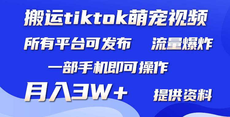 搬运Tiktok萌宠类视频，一部手机即可。所有短视频平台均可操作，月入3W+-云起副业网