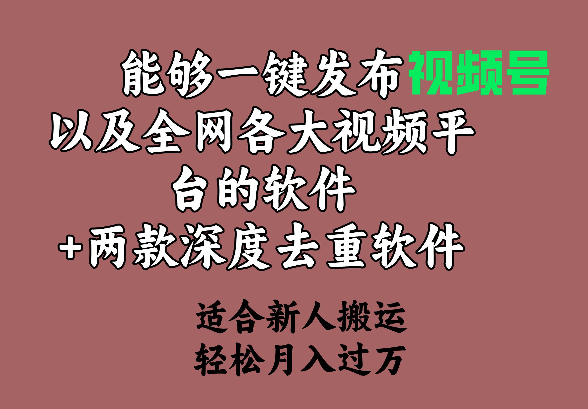 能够一键发布视频号以及全网各大视频平台的软件+两款深度去重软件 适合…-云起副业网