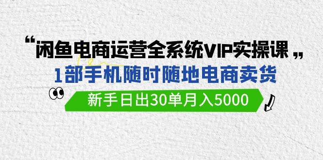 闲鱼电商运营全系统VIP实战课，1部手机随时随地卖货，新手日出30单月入5000-云起副业网